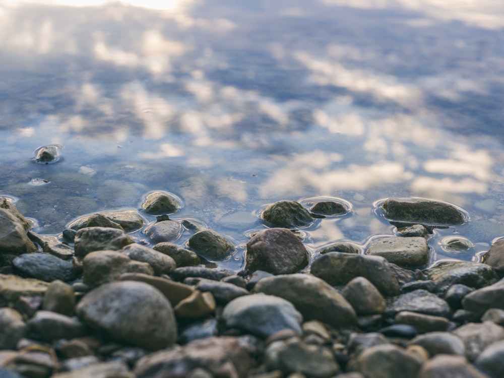 fotografia de foco de pedras perto do corpo de água