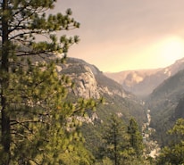 A scenic view of the Pacific Northwest mountains and forests at sunrise.