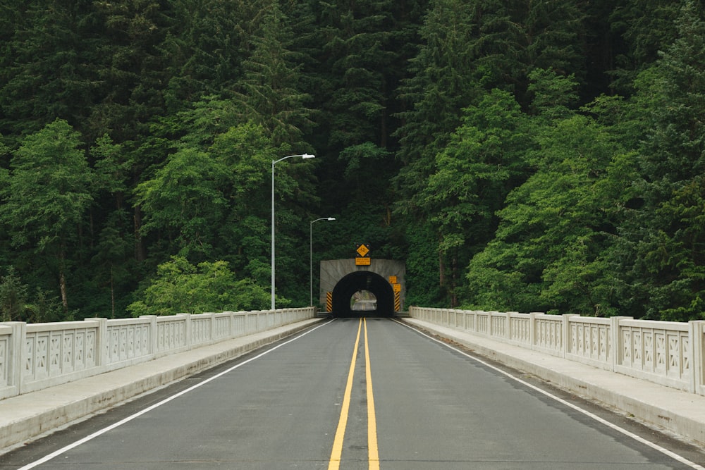 photo of road tunnel surrounded with trees
