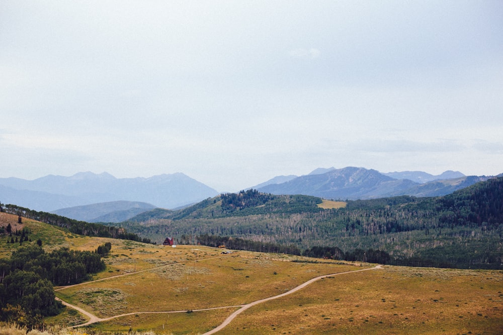 Grüner Grasfeldberg unter weißem und blauem Himmel