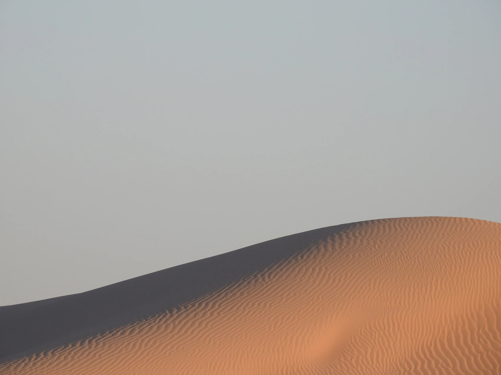 A sculpted sand dune in the Liwa Desert near Abu Dhabi