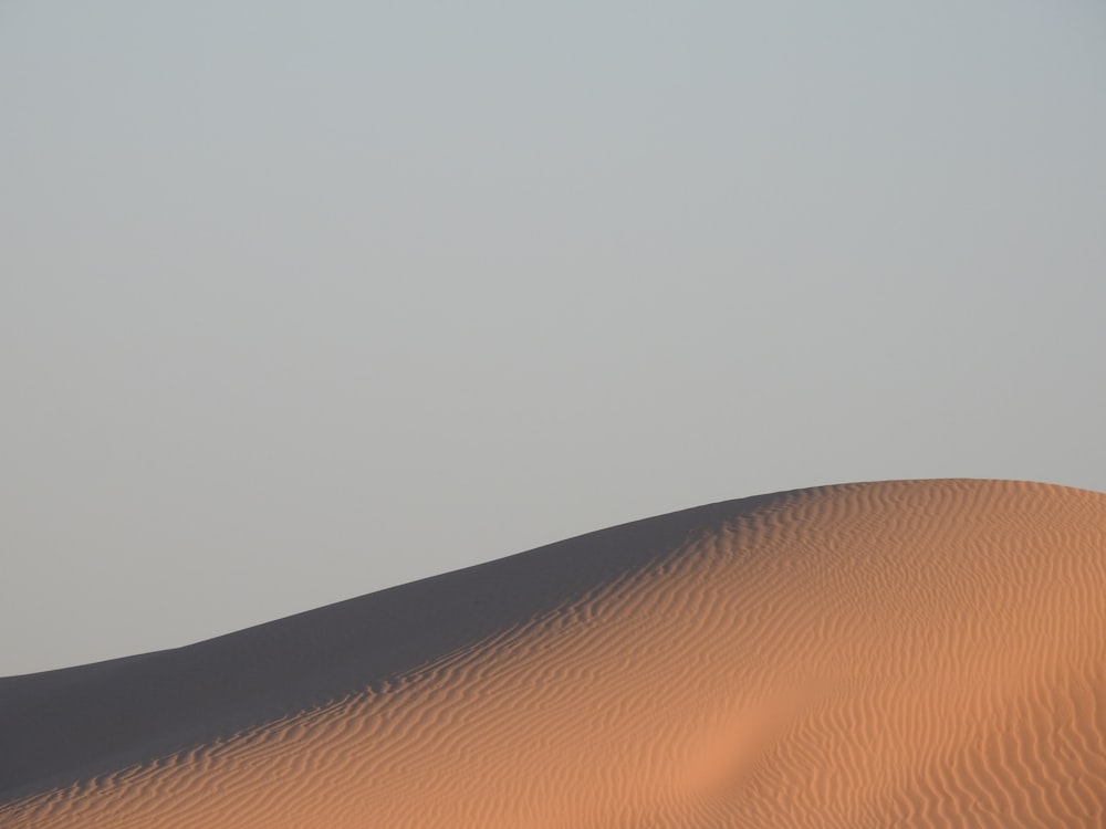 a large sand dune with a single tree in the distance