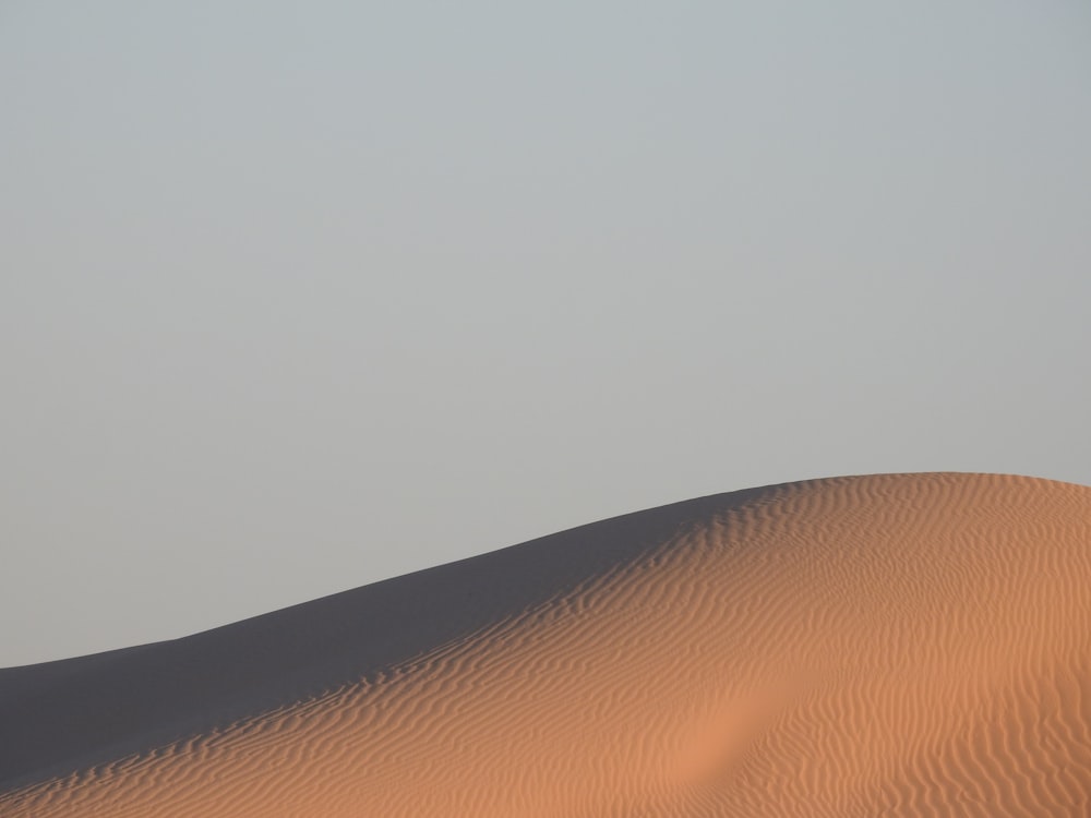 Una gran duna de arena con un solo árbol en la distancia