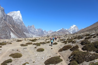 A group of hikers is trekking along a rocky and dry path surrounded by sparse vegetation in a mountainous region. Snow-capped peaks rise majestically in the background under a clear blue sky.