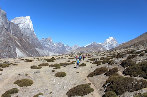 A group of hikers is trekking along a rocky and dry path surrounded by sparse vegetation in a mountainous region. Snow-capped peaks rise majestically in the background under a clear blue sky.
