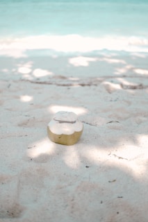 A single coconut lies on a sandy beach with gentle light and shadow patterns cast by overhead trees. The background features calm, turquoise ocean water creating a peaceful tropical scene.