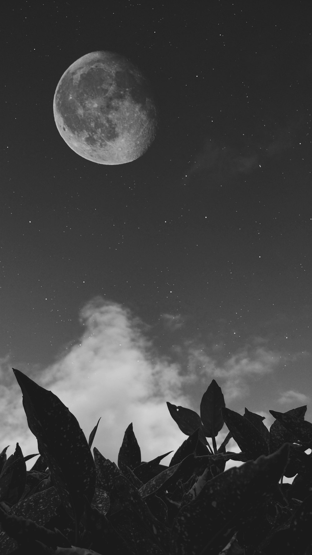 Una gran luna blanca en el cielo.