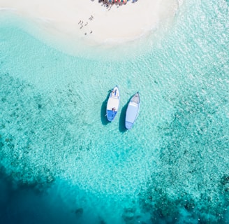 aerial view of two blue boats