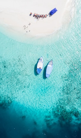 aerial view of two blue boats