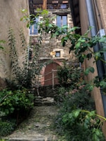 A winding stone pathway leading through vibrant gardens towards a spacious farmhouse.