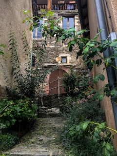 A winding stone pathway leading through vibrant gardens towards a spacious farmhouse.