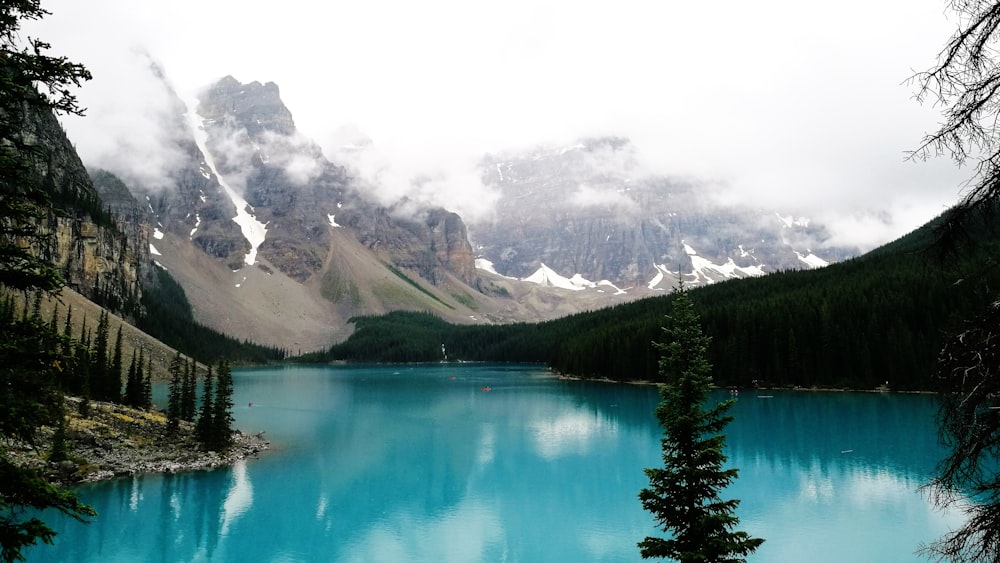 photo of body of water between trees and mountain