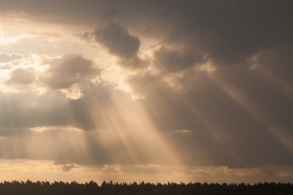 Golden shafts of light break through clouds in a sky, shining toward a treeline below.