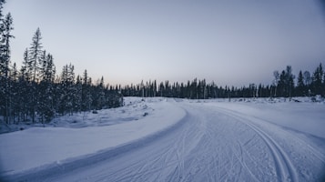 A snowy landscape featuring a cross-country ski trail winding through a forest of tall, dark evergreen trees. The sky is overcast, with a hint of soft, diffused light from the setting or rising sun. The scene is tranquil and untouched, evoking a sense of solitude and wilderness.