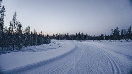 A snowy landscape featuring a cross-country ski trail winding through a forest of tall, dark evergreen trees. The sky is overcast, with a hint of soft, diffused light from the setting or rising sun. The scene is tranquil and untouched, evoking a sense of solitude and wilderness.