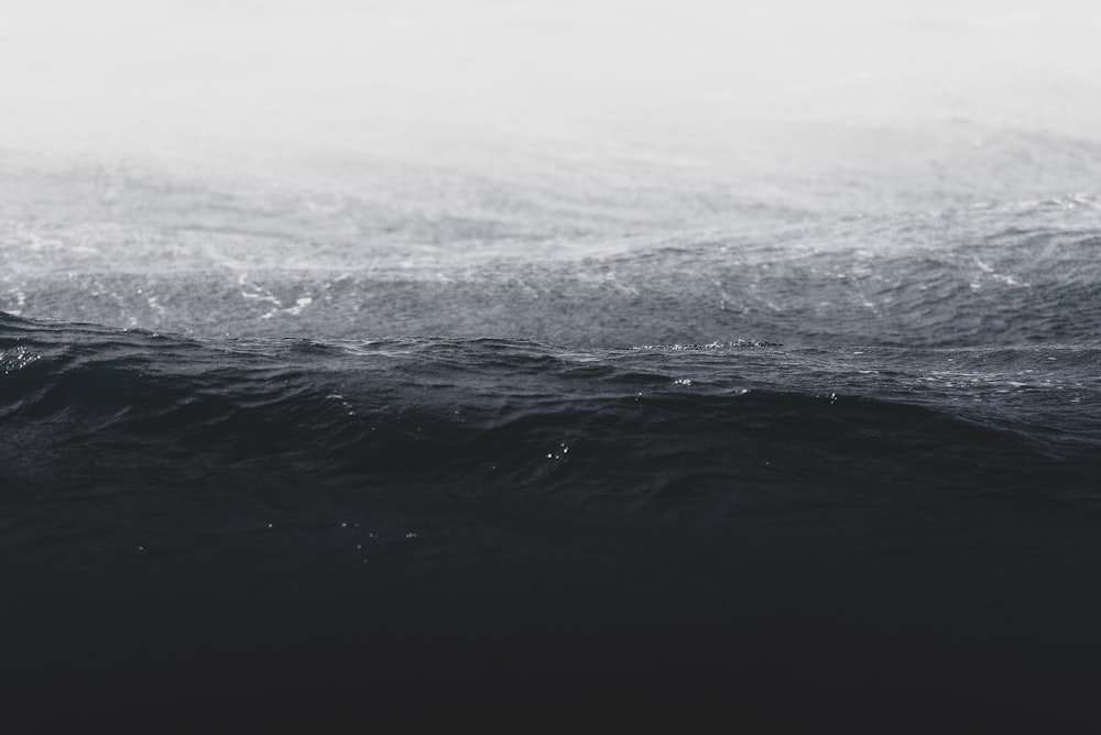 Photo en niveaux de gris de la vague de l’océan