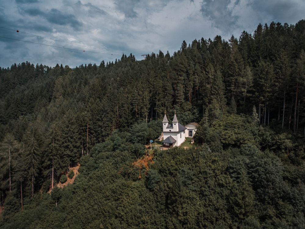 white house inside a forest