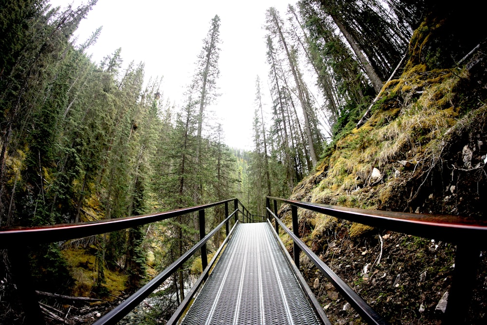 black steel bridge surrounded by green trees