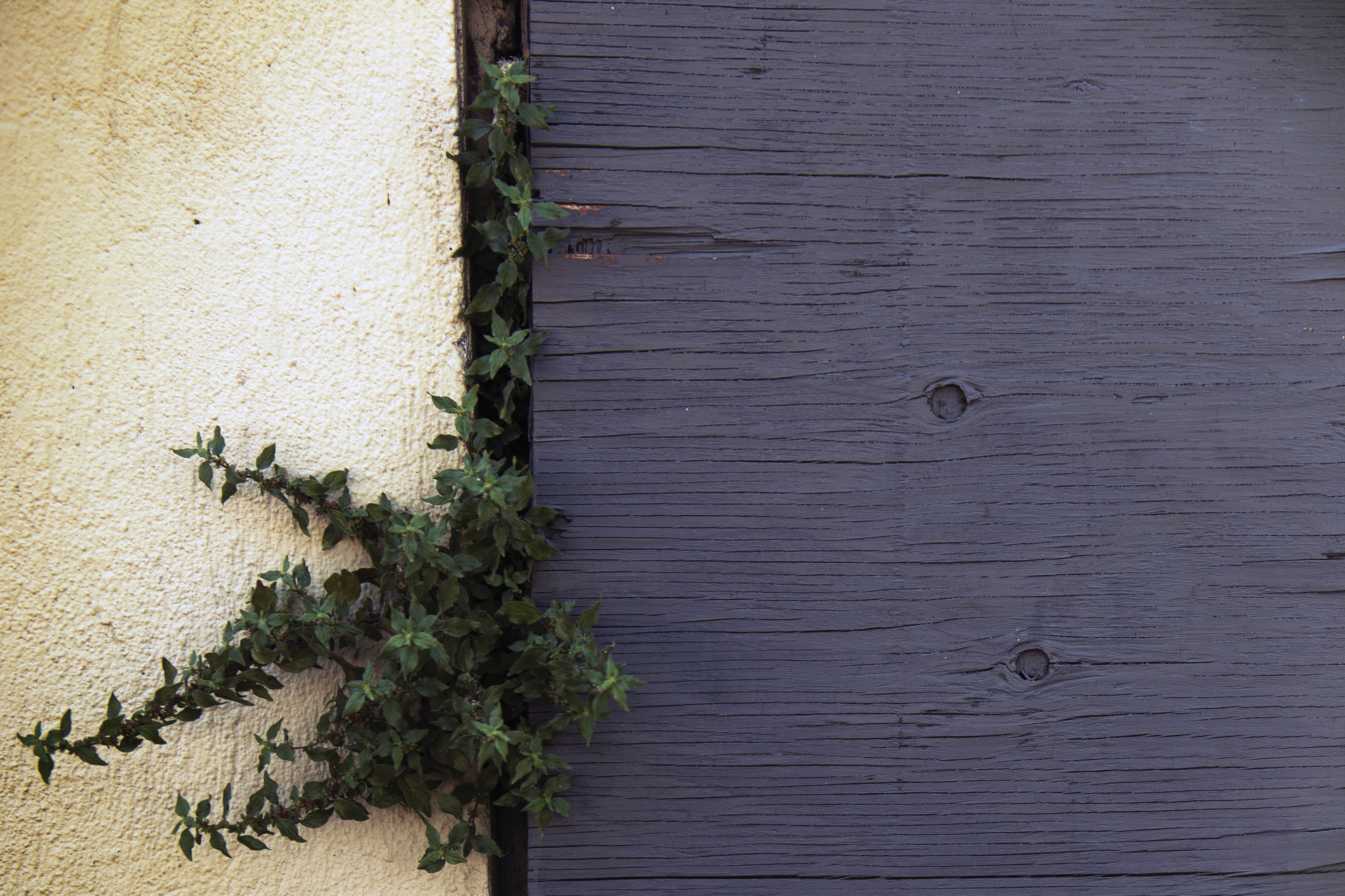 Photo by timmossholder