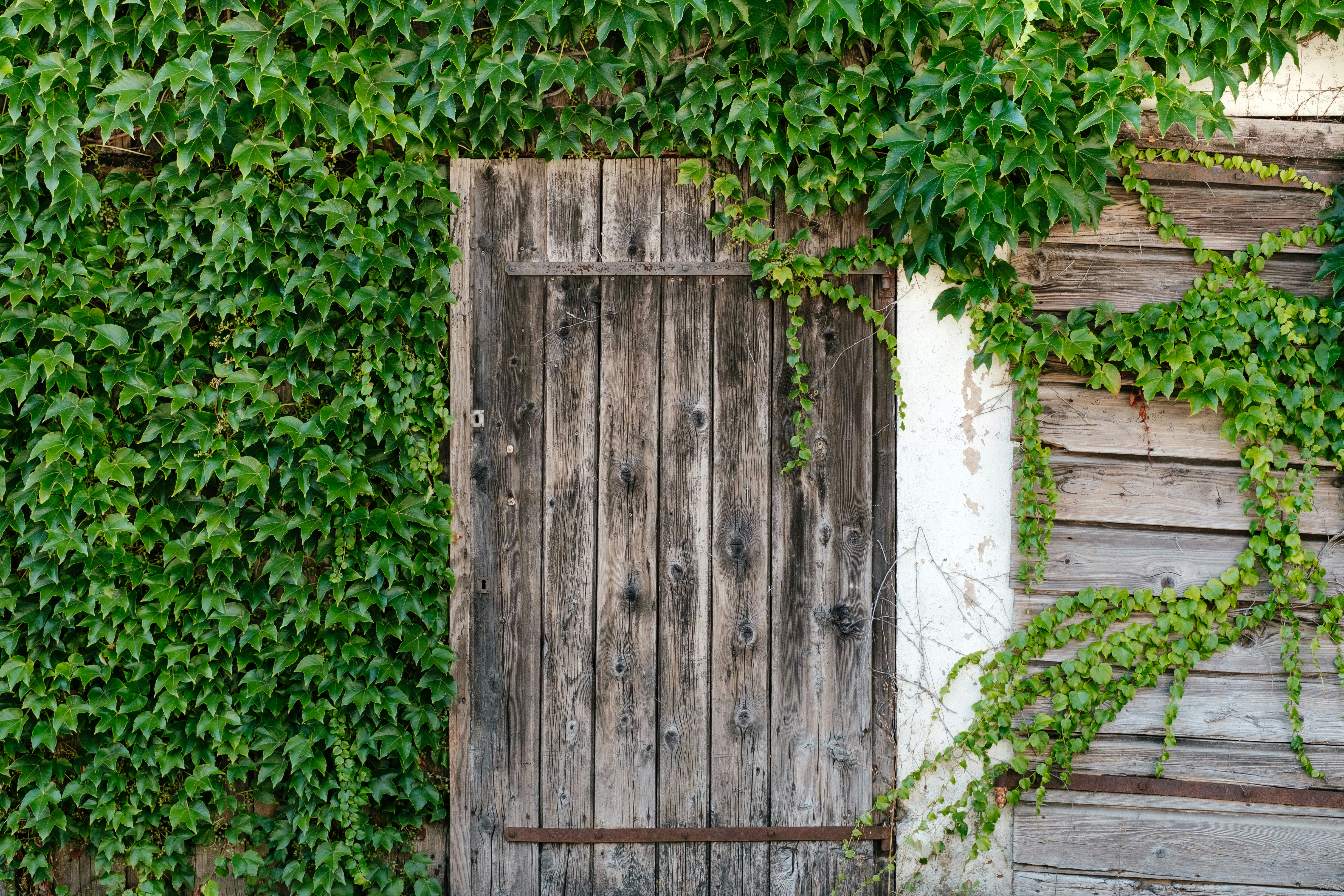 brown wooden pallet door