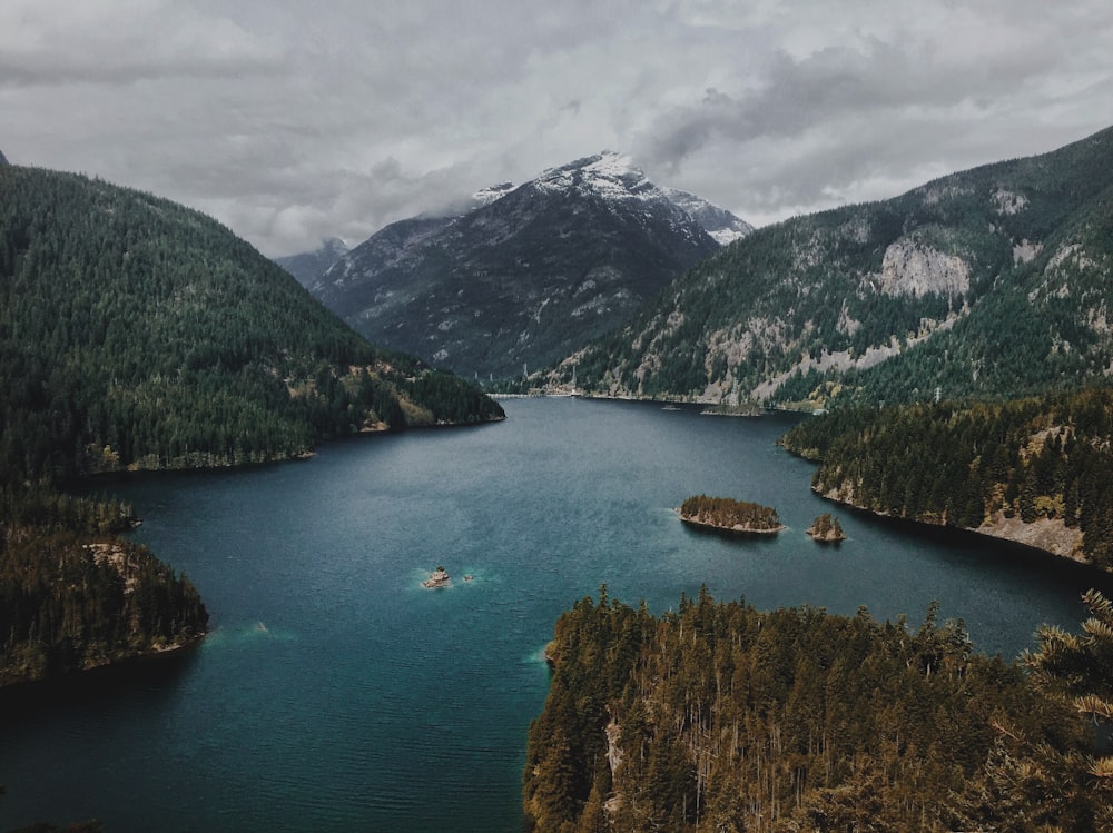 aerial view of mountain with trees