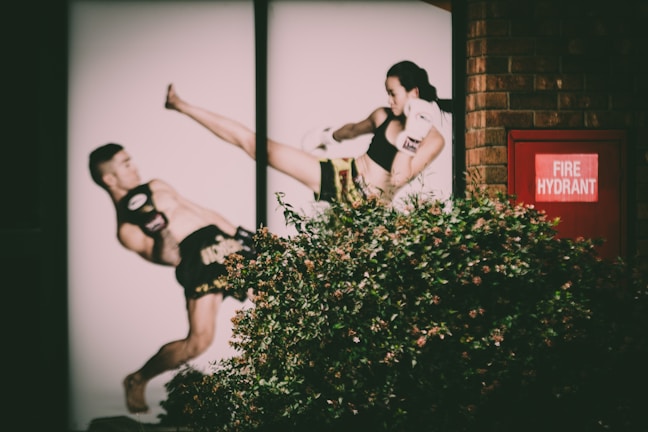 A photograph of a mural or poster depicting two martial artists in mid-action, covered partially by greenery. The male figure appears to deflect a high kick from the female figure. A red fire hydrant box is visible on a brick wall beside the mural.