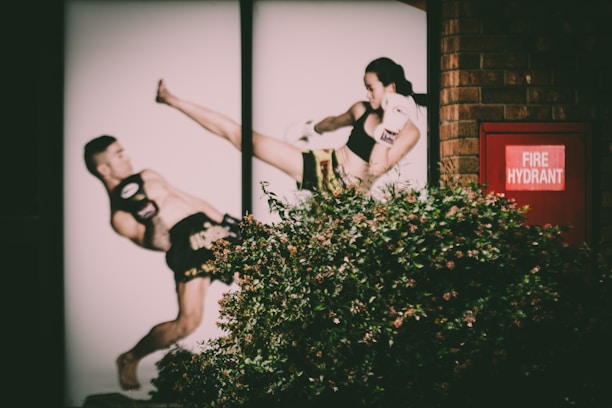 A photograph of a mural or poster depicting two martial artists in mid-action, covered partially by greenery. The male figure appears to deflect a high kick from the female figure. A red fire hydrant box is visible on a brick wall beside the mural.