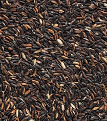 black and brown bean lot-topic-How Much Carbohydrates Do You Need