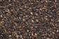 black and brown bean lot