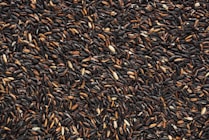 black and brown bean lot-topic-How Much Carbohydrates Do You Need