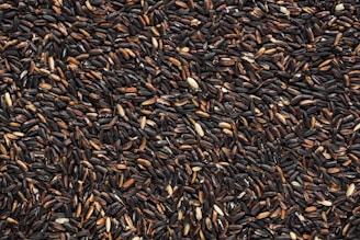 black and brown bean lot