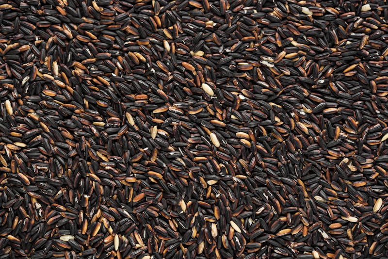 Black rice grains