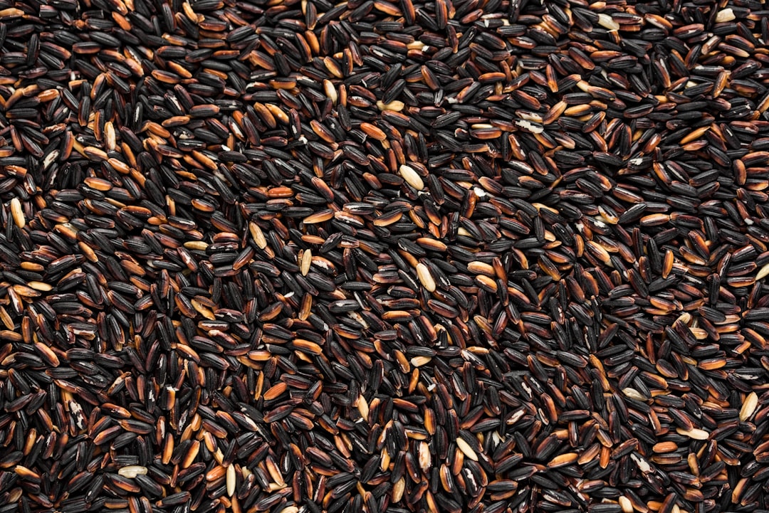 black and brown bean lot