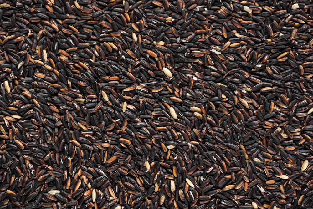 black and brown bean lot