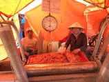Workers carefully processing fresh shrimp in a clean seafood facility.