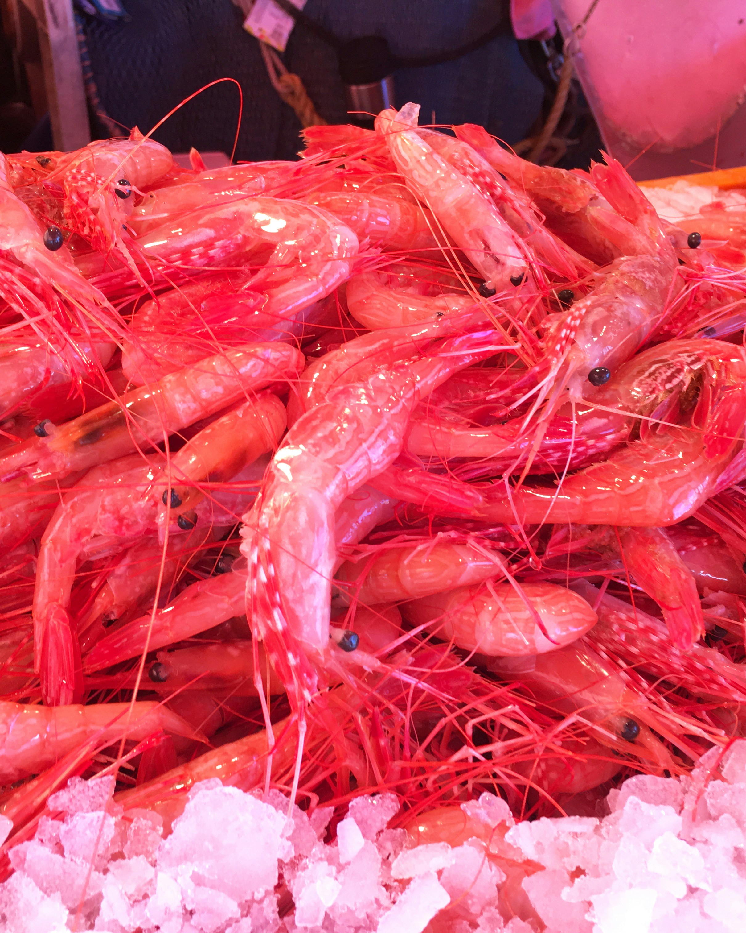Fresh South Atlantic Prawns