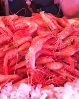 A pile of freshly caught prawns is displayed on a bed of ice. The prawns have a vibrant pinkish-red color, and their shiny, wet shells are clearly visible. The ice beneath them is crushed and white, contrasting with their bold color. Some of the prawns have long antennae visible.