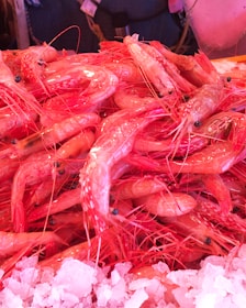 A pile of freshly caught prawns is displayed on a bed of ice. The prawns have a vibrant pinkish-red color, and their shiny, wet shells are clearly visible. The ice beneath them is crushed and white, contrasting with their bold color. Some of the prawns have long antennae visible.