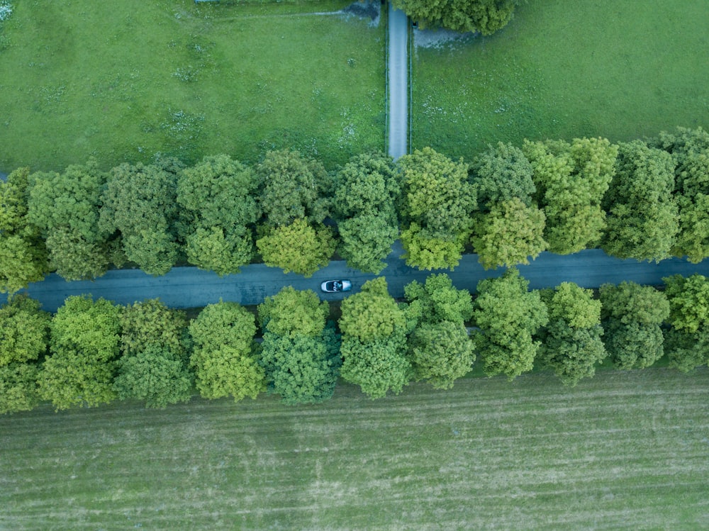 fotografia aérea de carro na estrada perto de árvores