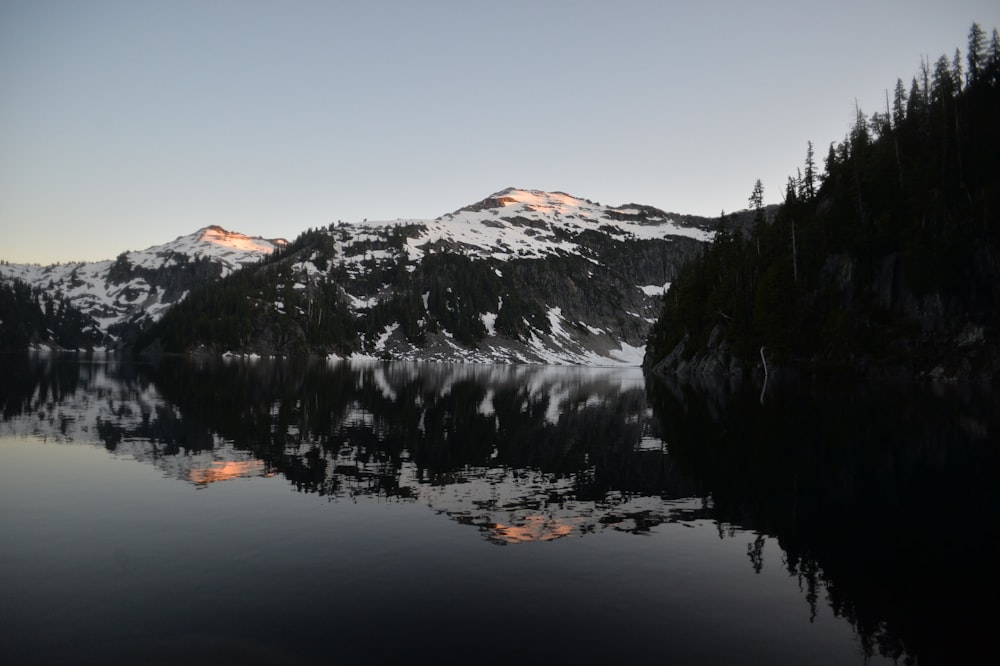 silhouette of trees near mountain