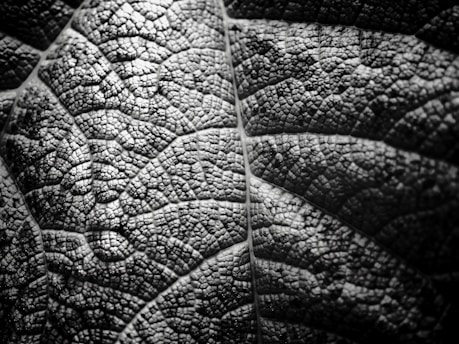 A detailed close-up of a textured printmaking plate with inked patterns.
