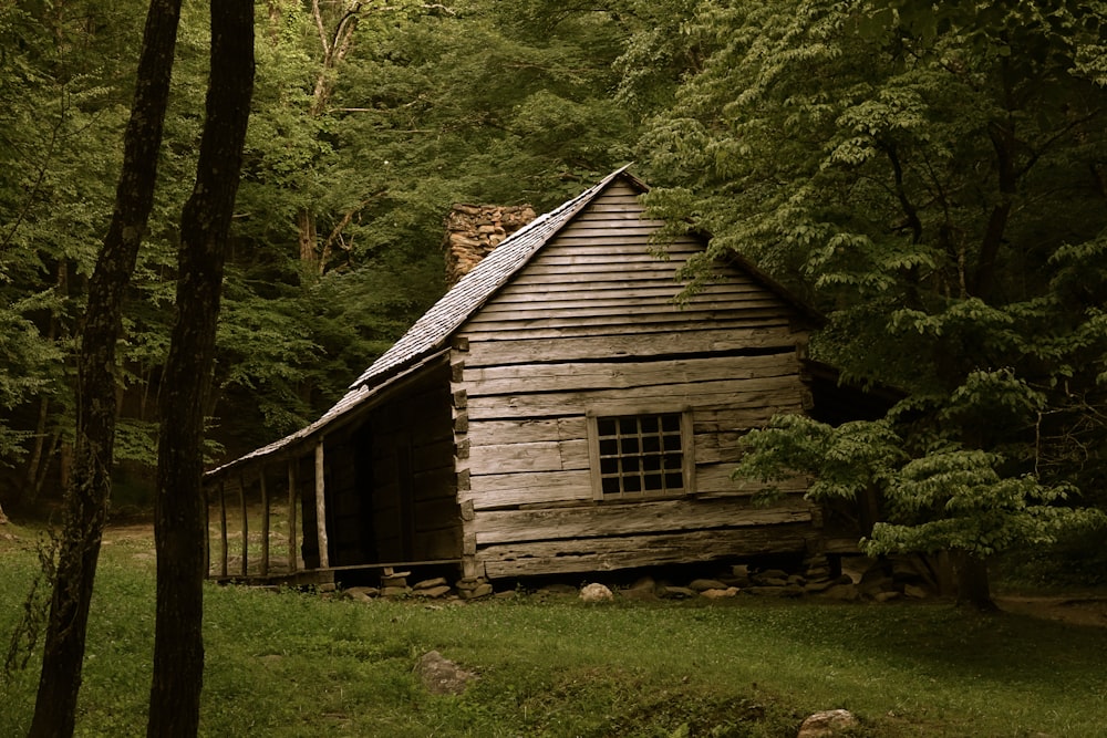 braunes Haus auf Waldbäumen