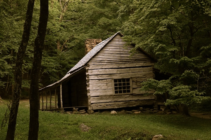 The Still Cabin