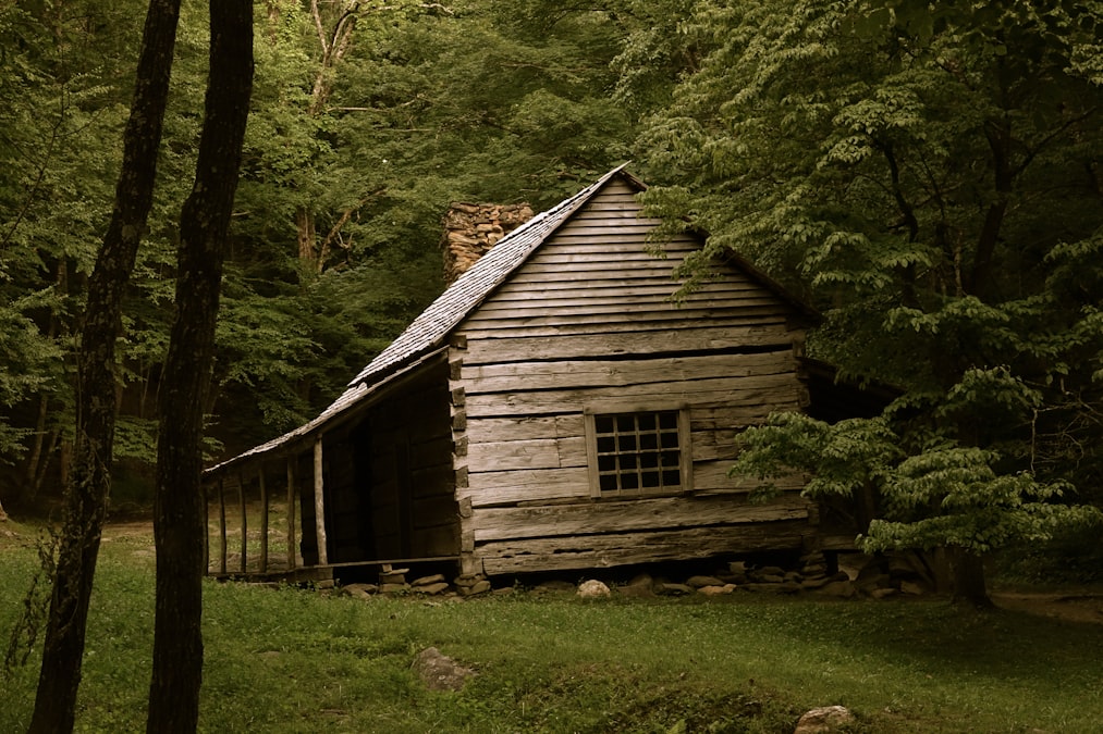Wooden cabin in autumn woods, simple shelter aesthetic