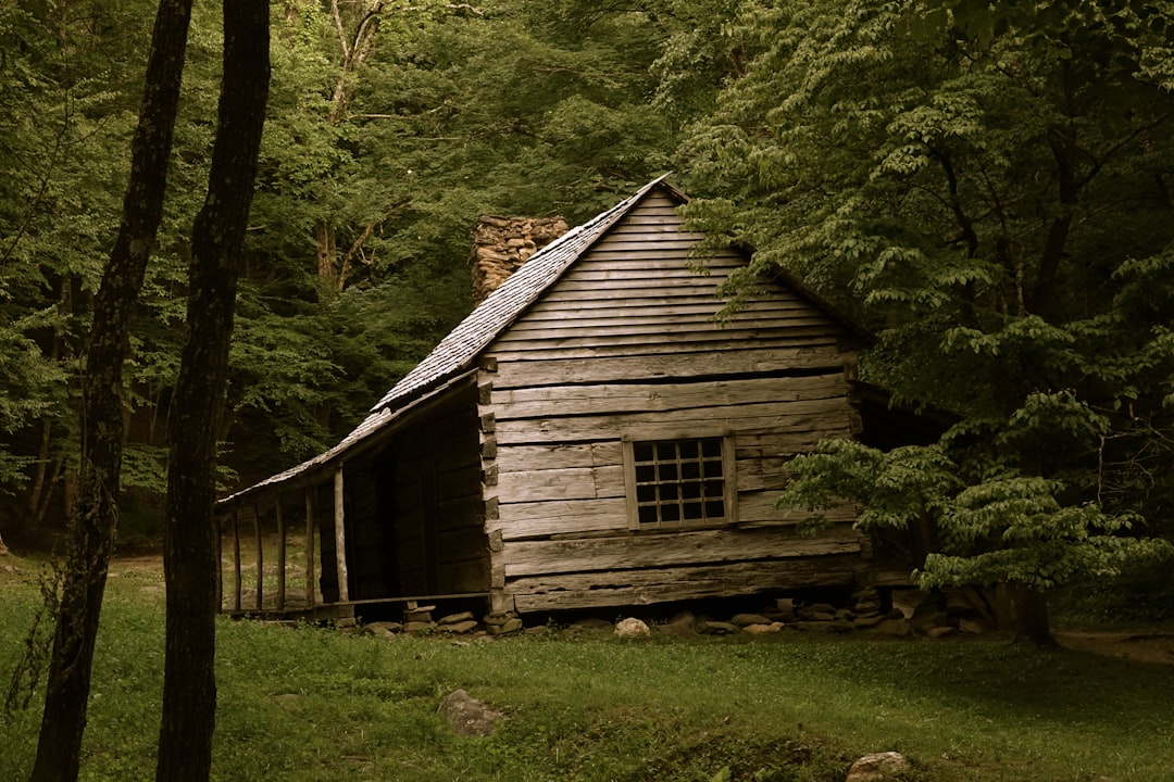 brown house on forest trees, Old Smokey Mountain Cabin