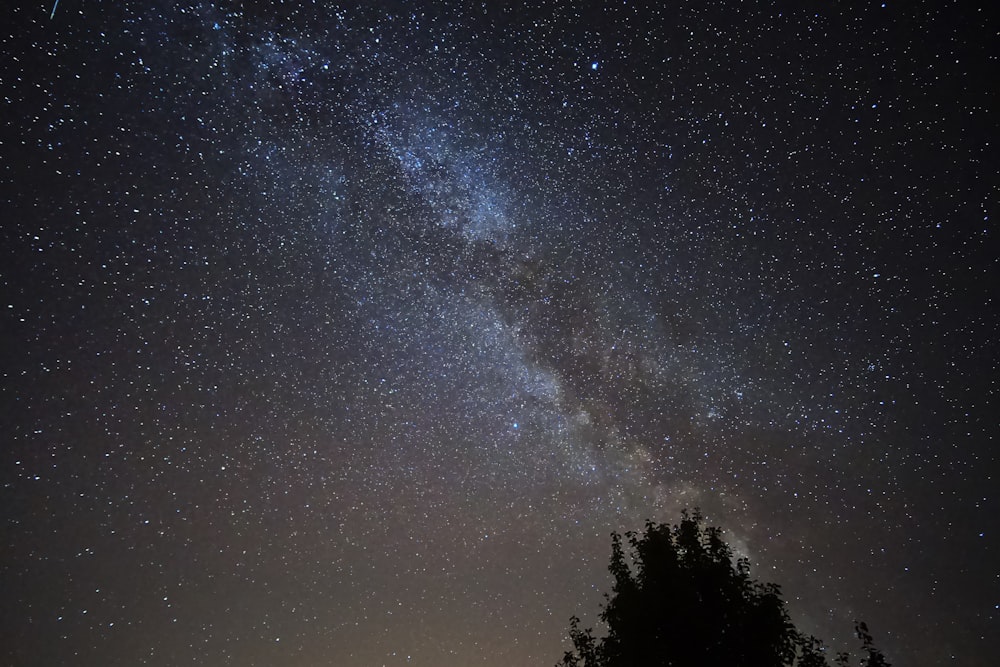 low-angle photography of Milky Way