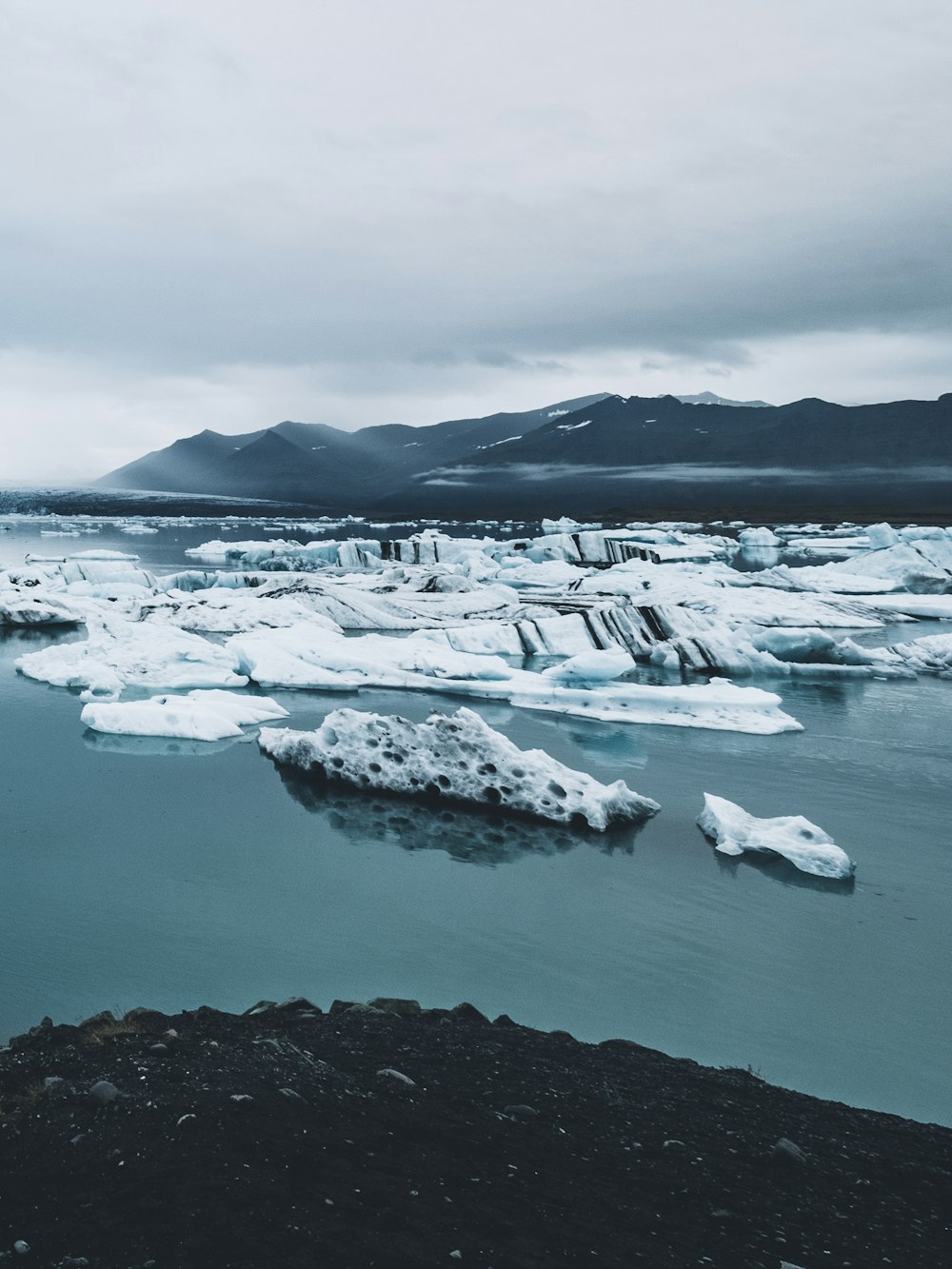 icebergs on body of water