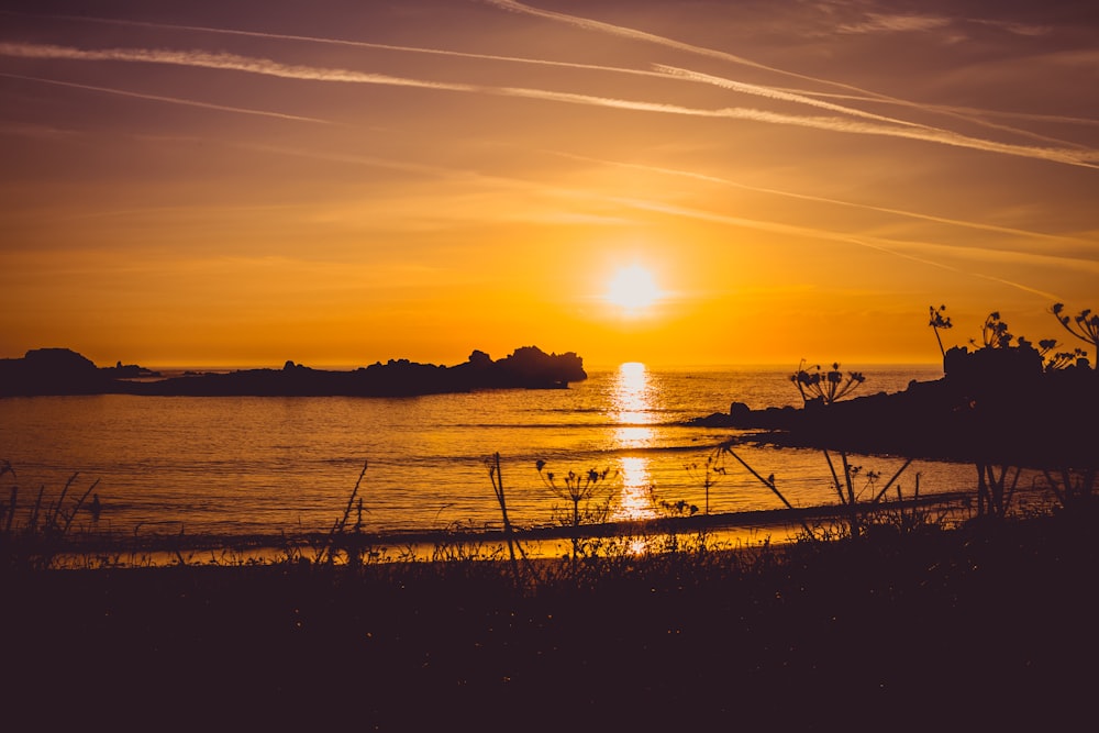 silhouette photo of body of water during sunset