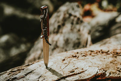 A sleek hunting knife with a wooden handle displayed on a mossy rock.