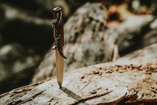 A knife with a detailed handle is embedded in a piece of wood. The background includes blurred natural elements, possibly tree bark or a rocky landscape.